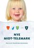 NYE MIDT-TELEMARK. Det er min fremtid dere bestemmer.