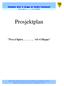 Sammen skal vi skape en bedre kommune! Fra å spire... vil vi SKAPE. Prosjektplan. Fra å Spire vil vi Skape