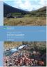 Ein tydeleg medspelar. Arkeologisk rapport nr. 03/2012: Raknem bustadfelt. Raknem, gbnr. 120 i Rauma kommune. Kristoffer Dahle