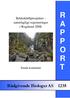 R A P P O R. Rådgivende Biologer AS Bekkekløftprosjektet naturfaglige registreringer i Rogaland 2008: Sauda kommune