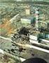 Konsekvenser av kjernekraftulykker: Hva har Tsjernobyl resultert i og hva vil Fukushima føre med seg?