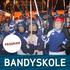 PROGRAM PROGRAM BANDYSKOLE