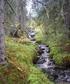 Rundskriv om skogbruksplanlegging med miljøregistrering. Vedlegg 3. Tilbudsinnbydelse