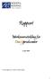 Rapport. Merkevareutvikling for Duodjiprodusenter. 9. juni Av: Seniorrådgiver Jan A. Johansen, Noodt & Reiding