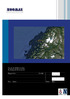 LOKALITETSRAPPORT SELSØYVÆR. Side 1 av 47. I henhold til NS9415:2009 For Selsøyvik Havbruk AS. Rapport nr: LR SEE Godkj: