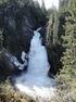 Floraregistrering ved Storfossen i Juldøla, Verdal kommune