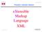extensible Markup Language XML