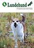 Lundehund. nytt. Medlemsblad for Norsk Lundehund Klubb nr 3, september/oktober 2013, 34. årgang