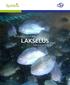 Bekjempelse av LAKSELUS. med rensefisk. Foto: Arctic Cleanerfish
