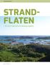 GEOFORSKNING STRAND- FLATEN. ett skritt nærmere en løsning på gåten. Foto: Halfdan Carstens