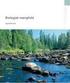 En vurdering av virkning på bunndyr og fisk ved økt senkning av Vinstern i Oppland.