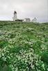 Endring av verneforskrift for Hornøya og Reinøya naturreservat i Vardø kommune