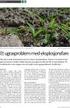 Resistente ugrasarter Et problem i norsk kornproduksjon