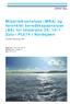 Miljørisikoanalyse (MRA) og forenklet beredskapsanalyse (BA) for letebrønn 26/10-1 Zulu i PL674 i Nordsjøen Lundin Norway AS
