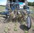 Lukeroboter og mekanisk ugrasbekjempelse i grønnsaker