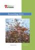 Lunner kommune. Kommunedelplan. Teknisk. Rådmannens innstilling til møte i Infrastruktur- og Eiendomskomiteens møte (v200) Arkiv 13/765-17