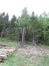Foryngelsesplikt og omdisponering av skogareal til beite RETNINGSLINJER