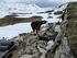 MØTEBOK. Fjellstyra på Hardangervidda as