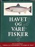 Den beste medisinen for fiskeforsterkningstiltak i Norge; utsetting av fisk, rogn eller grus?