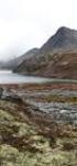 Møteprotokoll. Jostedalsbreen nasjonalparkstyre