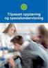 Barnehage- og utdanningsavdelingen. [Tilsynsobjektet] TILSYNSRAPPORT ELEVENES SKOLEMILJØ. Rælingen kommune Sandbekken ungdomsskole