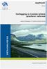 RAPPORT. Kartlegging av hvordan fylkene prioriterer veiformål. Siste& utkast/kommentarutgave& & bilde& settes& inn& i&! sluttrapport& 2014/02