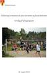 Kommunedelplan for idrett og fysisk aktivitet i Sør-Aurdal kommune