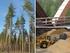 Retningslinjer for tilskudd til skogbrukstiltak i Nord-Trøndelag 2016
