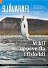 Norska fiskveiðistjórnunarkerfið og markaðssetning norskra afurða. Jóhannes Pálsson, framkvæmdastjóri framleiðslu Norway Seafood AS.