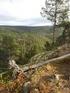 Tilrådning til Miljødirektoratet. Verneplan for skog. Verneforslag for Storås og Spirås naturreservat i Sandefjord kommune