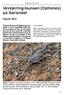 Vevkjerring-faunaen (Opiliones) på Sørlandet