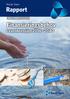 Rapport Finansieringsbehov i vannbransjen