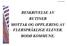 1 pr. desember 2016 BESKRIVELSE AV RUTINER MOTTAK OG OPPLÆRING AV FLERSPRÅKLIGE ELEVER. BODØ KOMMUNE.