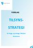 FORSLAG TILSYNS- STRATEGI. for bygg- og anlegg i Modum Kommune