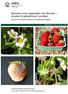 Resistens mot soppmidler hos Botrytis årsaken til gråskimmel i jordbær