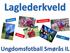 Lagsansvarlig (LA) Administrator (AD) Turansvarlig (TA) Kampvert (KV) Sosial ansvarlig (SA)