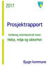 G. AVVIK... 6 H. INFORMASJONSMØTER... 6 I. INNHOLD I HMS-OMRÅDET I RISKMANAGER... 6 J. ØKONOMI KONKLUSJON VEIEN VIDERE...