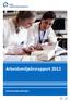 Arbeidsmiljøårsrapport 2012