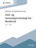 FoU- og innovasjonsstrategi for Buskerud