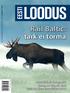 Populaarteaduslik ajakiri. Ilmunud aastast. 4,90 DETSEMBER 12/2016. Rail Baltic: tark ei torma