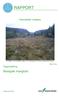 RAPPORT. Biologisk mangfold. Heimsfjellet vindpark