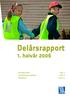 Delårsrapport 1. halvår 2006