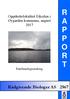 R A P P O R. Rådgivende Biologer AS Oppdrettslokalitet Eikeilen i Øygarden kommune, august Førehandsgransking