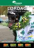 LØRDAG. 8. august 2015 kl Løpsdag 35. Ponniløp 1 start kl Ponniløp 2 start kl