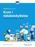 Kurs i databeskyttelse