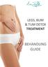 LEGS, BUM & TUM DETOX TREATMENT BEHANDLING GUIDE