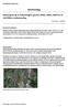 Saksframlegg. Detaljregulering av Kattemskogen, gnr/bnr 198/2, 198/3, 198/75 m.fl., r , sluttbehandling