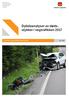 Dybdeanalyser av dødsulykker i vegtrafikken 2017
