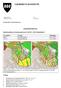 GJERDRUM KOMMUNE SAKSFRAMLEGG. Sluttbehandling for detaljregulering for felt B8 B10, Brådalsfjellet 2