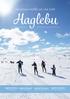 program vinter og vår 2019 Haglebu